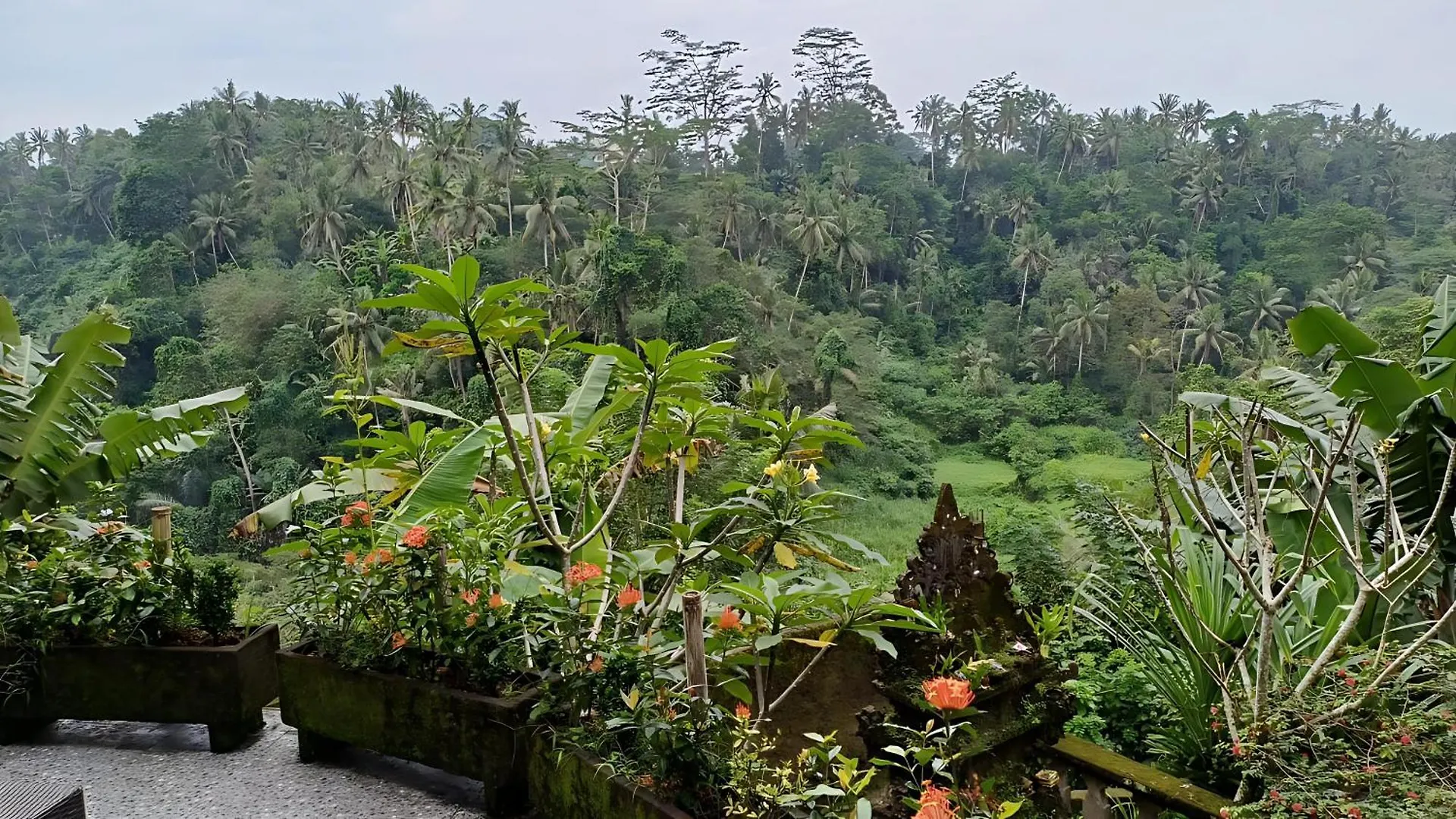 **** База отдыха Tirta Asri Ubud Villa Индонезия