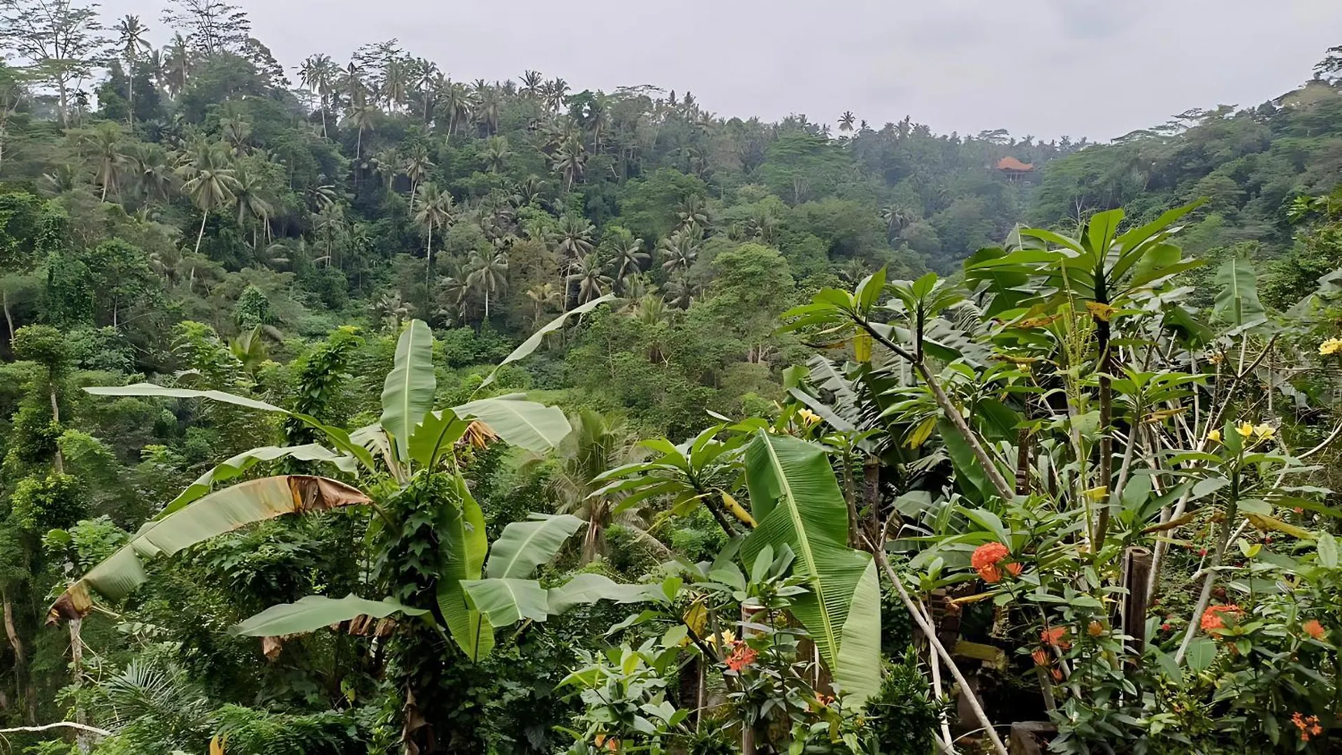 Πάρκο διακοπών Tirta Asri Ubud Villa
